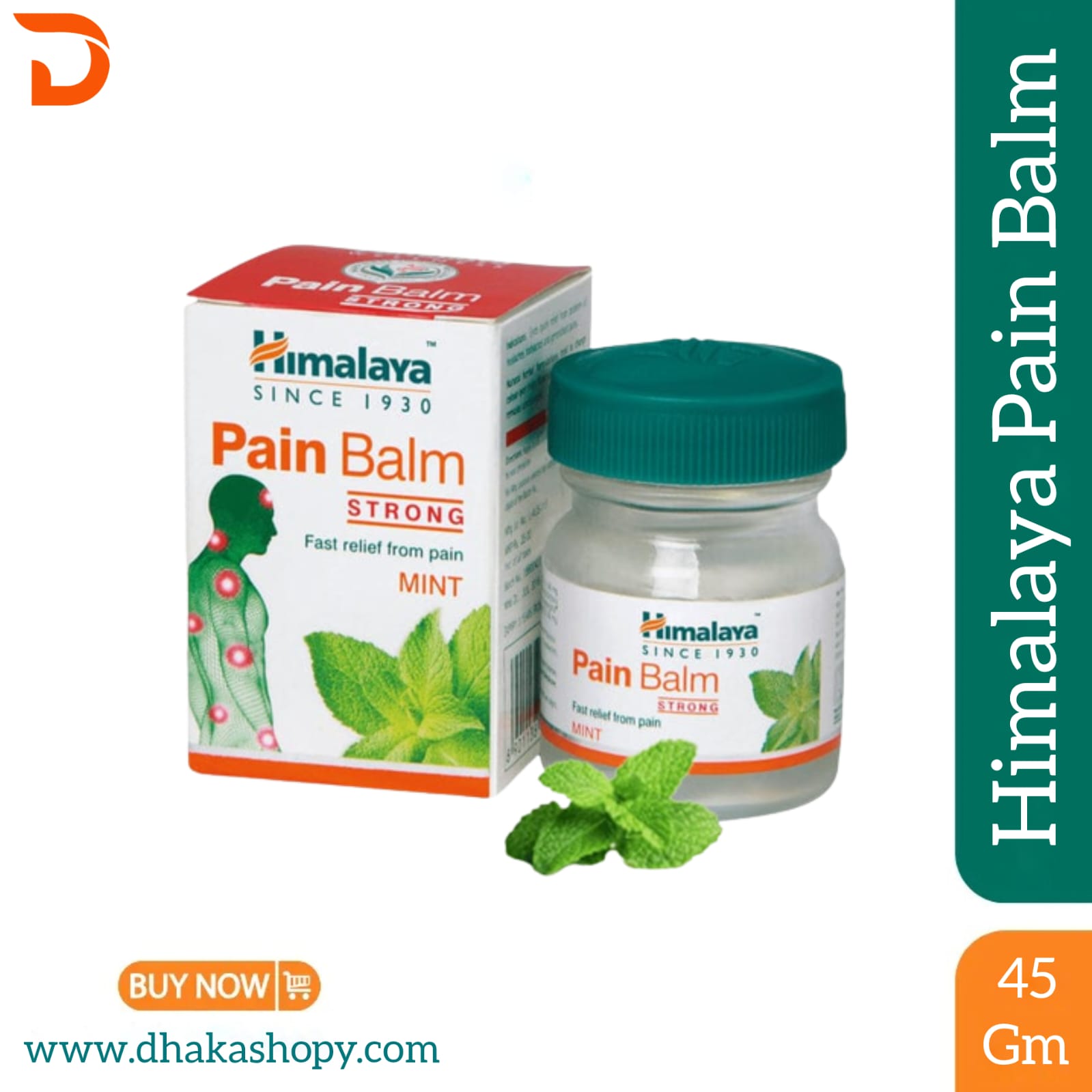 Himalaya Pain Balm